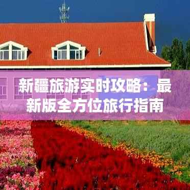 新疆旅游实时攻略:最新版全方位旅行指南