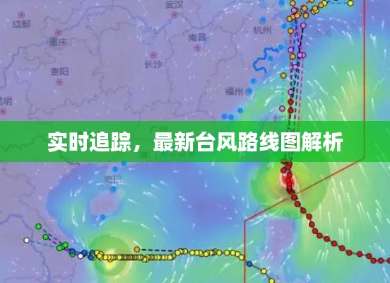 实时追踪,最新台风路线图解析