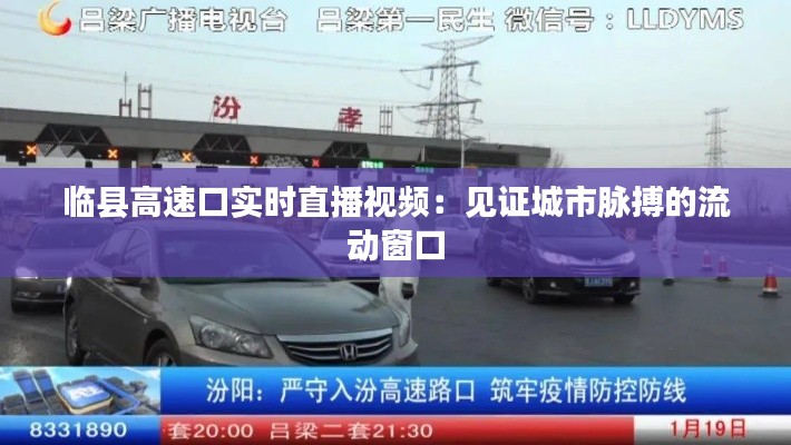 临县高速口实时直播视频：见证城市脉搏的流动窗口