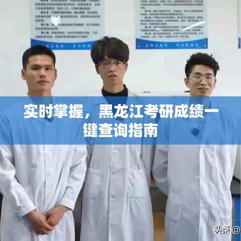 实时掌握,黑龙江考研成绩一键查询指南