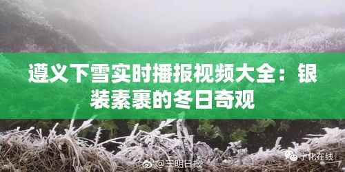 遵义下雪实时播报视频大全：银装素裹的冬日奇观