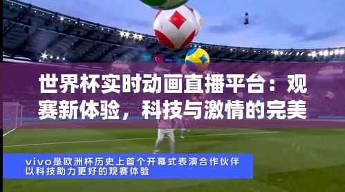世界杯实时动画直播平台:观赛新体验,科技与激情的完美融合