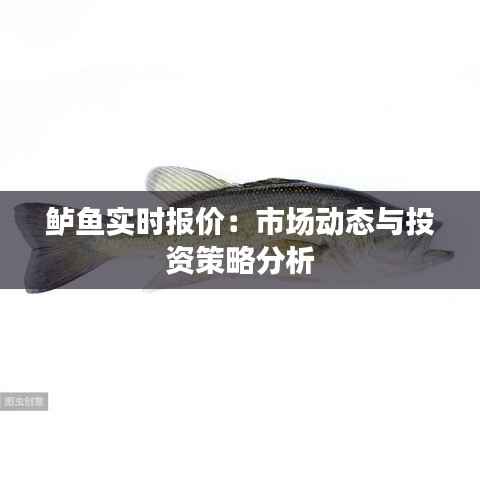 鲈鱼实时报价:市场动态与投资策略分析