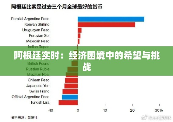 阿根廷实时:经济困境中的希望与挑战