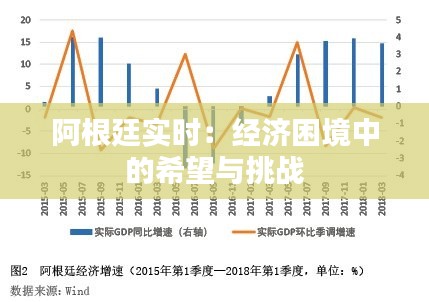 阿根廷实时:经济困境中的希望与挑战