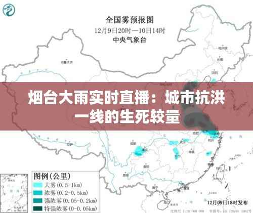 烟台大雨实时直播：城市抗洪一线的生死较量