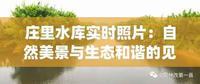 庄里水库实时照片:自然美景与生态和谐的见证