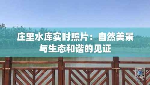 庄里水库实时照片：自然美景与生态和谐的见证