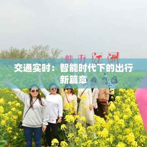交通实时:智能时代下的出行新篇章