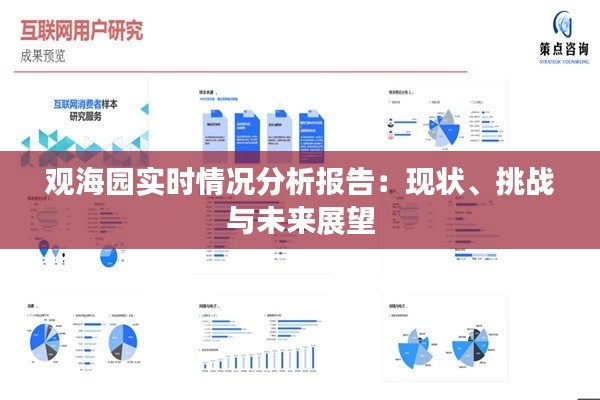 观海园实时情况分析报告:现状、挑战与未来展望