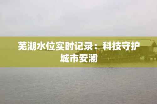 芜湖水位实时记录:科技守护城市安澜