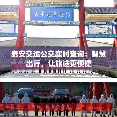 泰安交运公交实时查询：智慧出行，让旅途更便捷