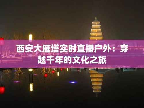西安大雁塔实时直播户外:穿越千年的文化之旅