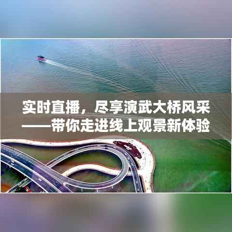 实时直播，尽享演武大桥风采——带你走进线上观景新体验