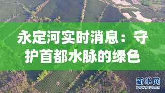 永定河实时消息:守护首都水脉的绿色守望