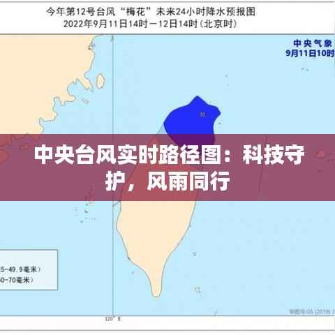 中央台风实时路径图:科技守护,风雨同行