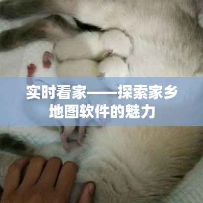 实时看家——探索家乡地图软件的魅力