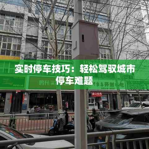 实时停车技巧:轻松驾驭城市停车难题