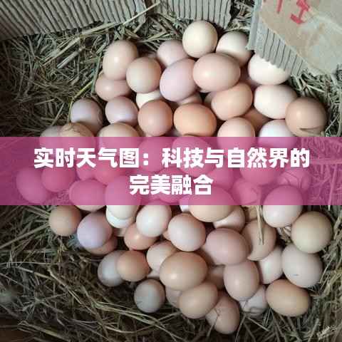 实时天气图：科技与自然界的完美融合