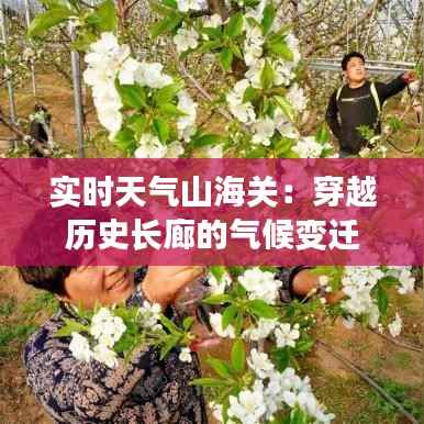 实时天气山海关：穿越历史长廊的气候变迁