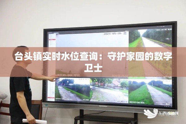 台头镇实时水位查询:守护家园的数字卫士