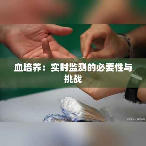 血培养:实时监测的必要性与挑战