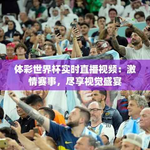 体彩世界杯实时直播视频:激情赛事,尽享视觉盛宴