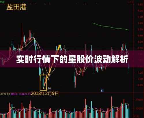 实时行情下的星股价波动解析