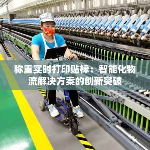 称重实时打印贴标:智能化物流解决方案的创新突破