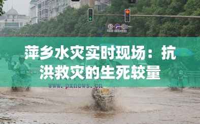 萍乡水灾实时现场:抗洪救灾的生死较量