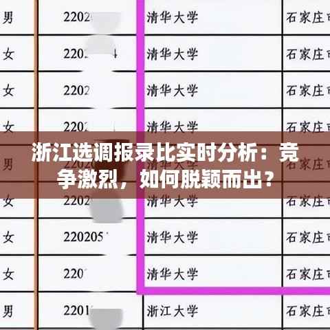 浙江选调报录比实时分析:竞争激烈,如何脱颖而出?