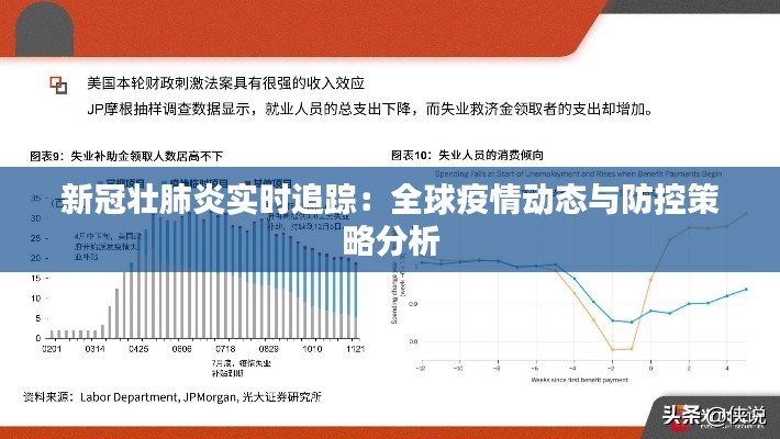 新冠壮肺炎实时追踪:全球疫情动态与防控策略分析