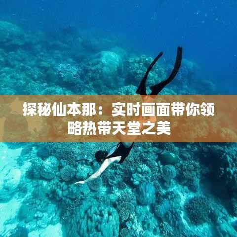 探秘仙本那:实时画面带你领略热带天堂之美