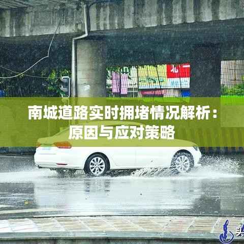 南城道路实时拥堵情况解析：原因与应对策略
