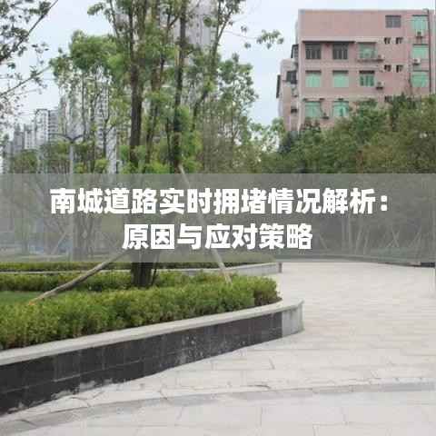 南城道路实时拥堵情况解析:原因与应对策略
