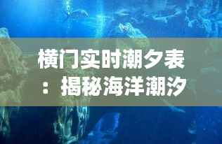 横门实时潮夕表:揭秘海洋潮汐变化的奥秘