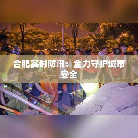 合肥实时防汛:全力守护城市安全