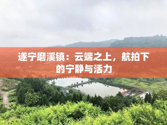 新闻中心 第243页