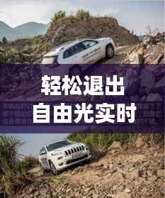 轻松退出自由光实时地图:操作指南及注意事项