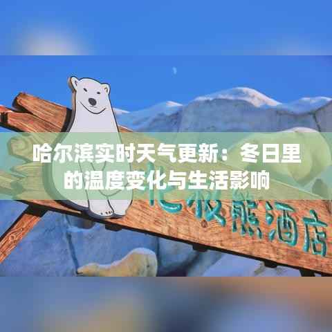 哈尔滨实时天气更新:冬日里的温度变化与生活影响
