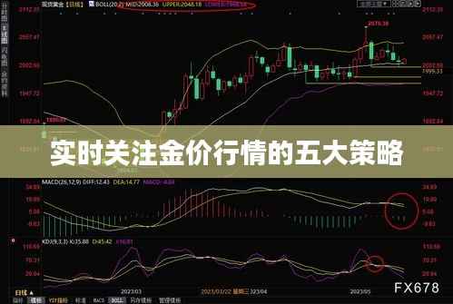 实时关注金价行情的五大策略