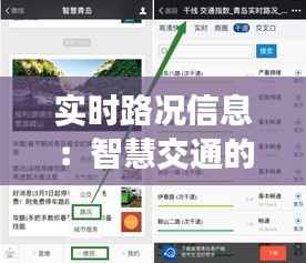 实时路况信息：智慧交通的未来之路