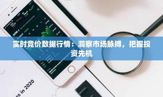 实时竞价数据行情:洞察市场脉搏,把握投资先机