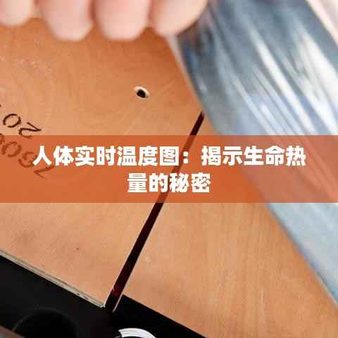 人体实时温度图:揭示生命热量的秘密
