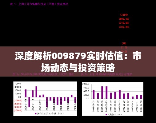 深度解析009879实时估值:市场动态与投资策略