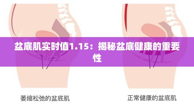 盆底肌实时值1.15:揭秘盆底健康的重要性