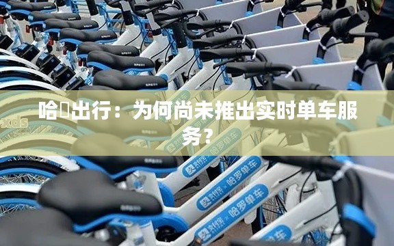 哈啰出行:为何尚未推出实时单车服务?