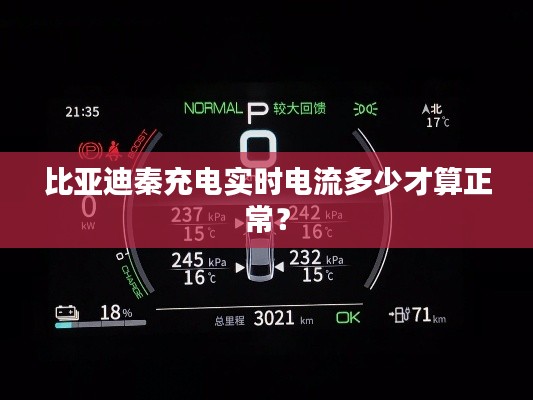 比亚迪秦充电实时电流多少才算正常?