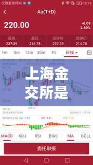 上海金交所是实时交易吗?