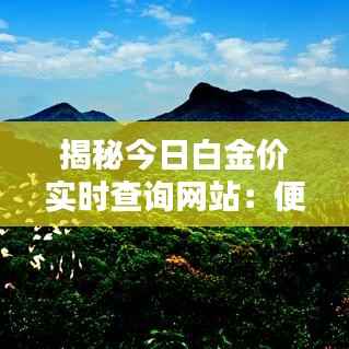揭秘今日白金价实时查询网站:便捷投资必备工具